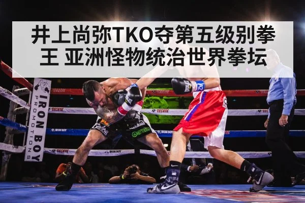井上尚弥TKO夺第五级别拳王 亚洲怪物统治世界拳坛